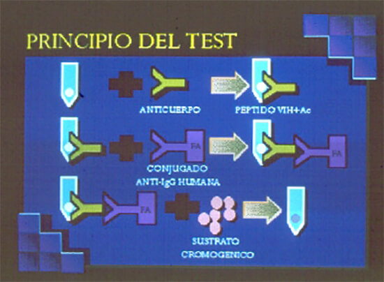 Fig. 3. Principio de la prueba