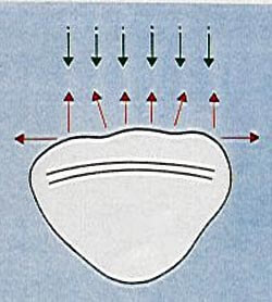 Figura 3