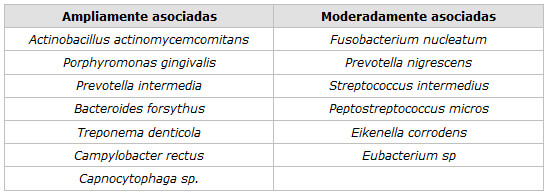 Tabla 2 Especies bacterianas asociadas a la periodontitis