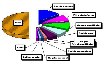 Gráfico 4 Incidencia de regiones anatómicas afectadas