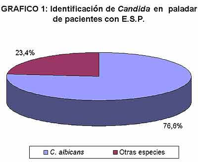 GRAFICO 1