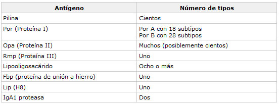 TABLA 1: Heterogenicidad antigénica de N. gonorrhoeae