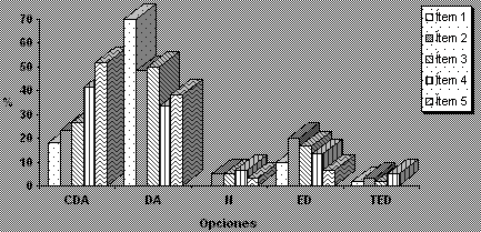 Gráfico No. 6 Síntesis de las respuestas de los entrevistados a los ítem 1 a 5 Maracaibo, Venezuela. 2004