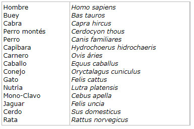Cuadro 1 Relación de los nombres específicos de cada animal utilizado