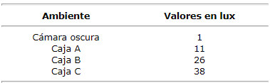 Tabla No 2 Medida de la intensidad de luz (lux) en la cámara oscura convencional y las cajas de procesamiento estudiadas