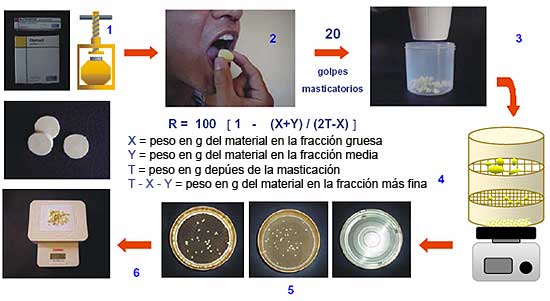 Gráfico 2 Prueba de Rendimiento Masticatorio. 1. Moldeado y prensado del alimento de prueba con silicona Optosil®; 2. Trituración de la pastilla de silicona hasta completar 20 golpes masticatorios; 3. Lavado y secado de las partículas de silicona resultantes; 4. Tamizado vibratorio de las partículas de silicona; 5. Separación de las partículas retenidas en cada tamiz; y 6. Pesado de las partículas.