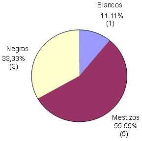 Figura 2 Distribución de grupos étnicos en pacientes con diagnóstico de Melanoma Maligno bucal