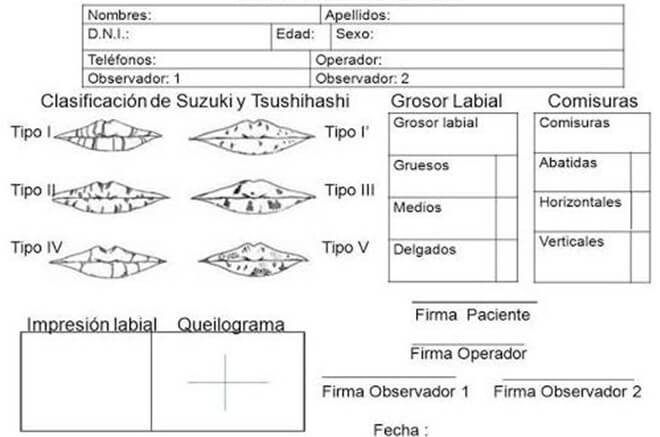 Fig. 2. Ficha Quiloscópica diseñada para la presente investigación, tomado como referencia la clasificación y el queilograma de Suzuki y Tsushihashi.