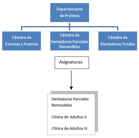 Figura 1. Departamento de Prótesis de la Facultad de Odontología de la Universidad Central de Venezuela, Cátedra de Dentaduras Parciales Removibles y sus asignaturas.