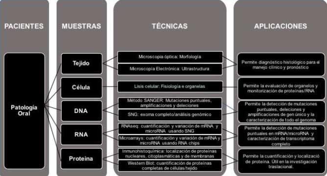 Figura 2. Presentación esquemática de la enfermedad del paciente, diagnóstico e investigación translacional a lo largo de la aplicación de técnicas moleculares en patología oral.