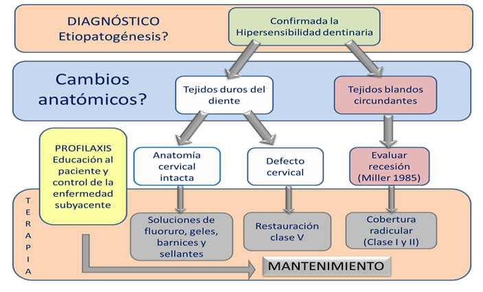 Figura 1. Tratamiento de la hipersensibilidad dentinaria. Tomado de Schmidlin y Sahrmann. Current management of dentin hypersensitivity. Clin Oral Invest. 2013;17(1):S55-9.