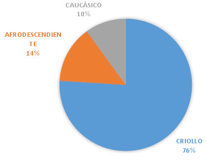 Fig. 3. Distribución de la muestra según el autorreconocimiento étnico