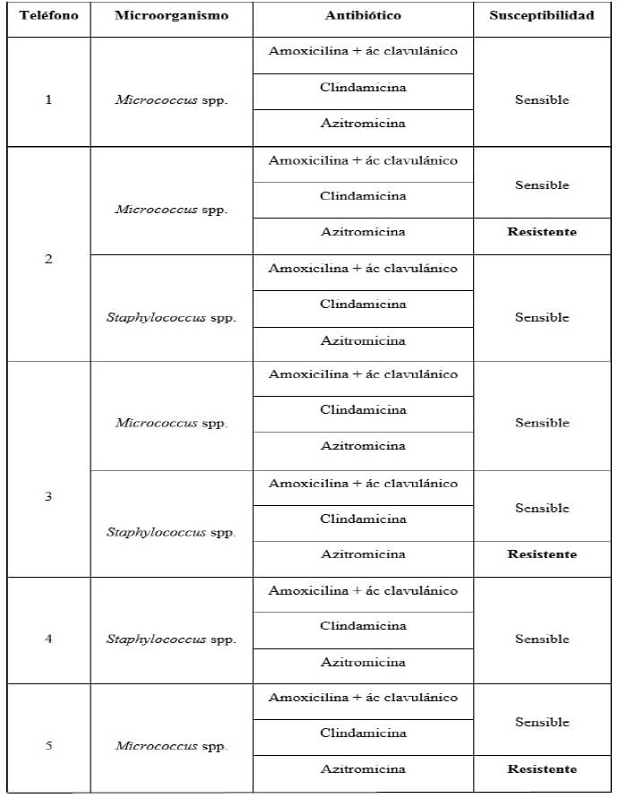 Tabla 2. Resultados de susceptibilidad en las pantallas de los celulares de los operadores.