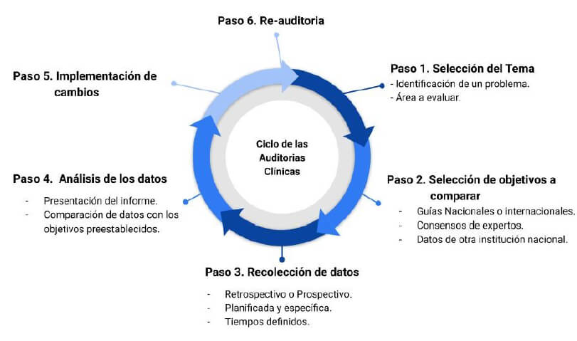 Figura 1: Configuración cíclica de una auditoría clínica.