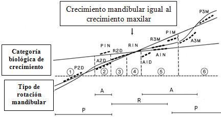 Fig. 2: Categorías auxológicas de crecimiento(8)
