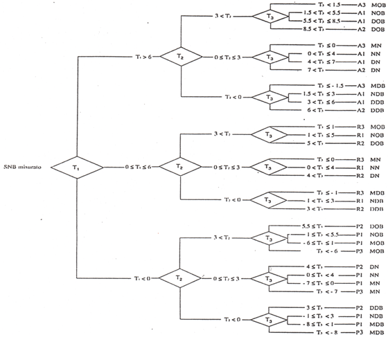 Fig. 3: Diagrama identificativo del grupo rotacional (9)