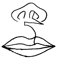 Figura Nº 6