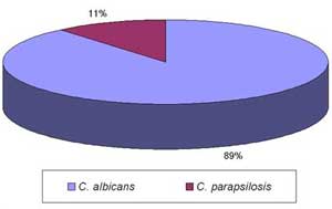 FIGURA 8: Frecuencia de Candida detectadas en casos de recidiva de pacientes con E.S.P., medicados con agua (Paladar-Grupo Control)
