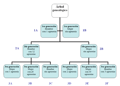 Tabla Nº 1: Descripción del árbol genealógico por generación, sexo y número de dientes con agenesia en cada individuo.