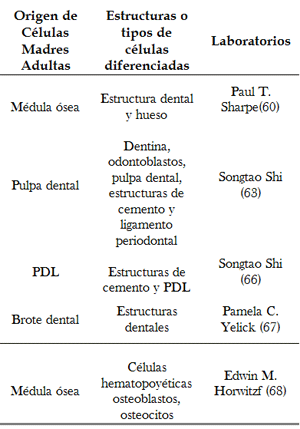 Tabla 1. Potencial de ASC para diferenciarse en distintas estructuras y tipos de células craneofaciales (3).