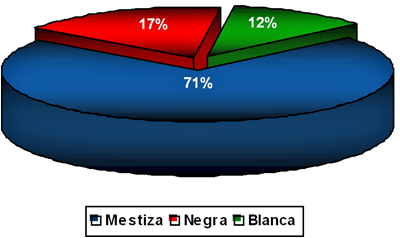 Grafico 6: DISTRIBUCION SEGUN LA RAZA
