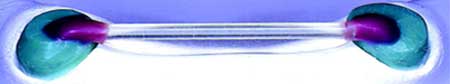 Figura Nº 5.- Barra Hader para colocar sobre estructuras dentarias Fuente: http://www.preat.com/haderinst.html