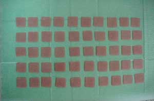 Fig. 1 Muestras de resinas acrílicas utilizadas en el estudio