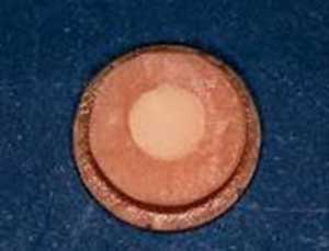 Figura No 1 Cilindro de cerámica prensada incluido en resina acrílica autopolimerizable.