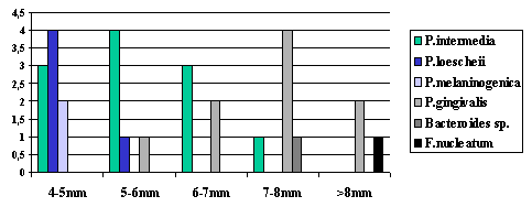Gráfico 3. Relación entre las especies de Bacilos Anaerobios Gram Negativos detectados en pacientes con periodontitis y profundidad del saco periodontal.