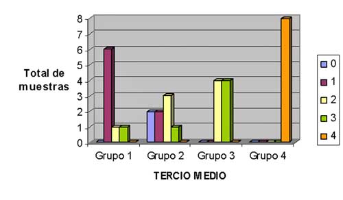 Gráfica 1. Comparación de valores de limpieza de los todos los grupos en tercio medio. 0= tubulillos indistinguibles 1= menos del 25% de tubulillos abiertos 2= menos del 50% de tubulillos abiertos 3= menos del 75% de tubulillos abiertos 4= 100% de tubulillos abiertos