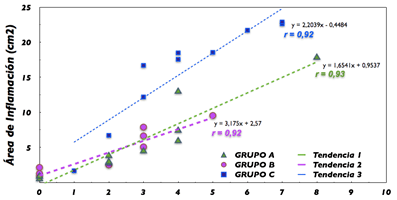 Gráfico 6 Correlación del área de inflamación y el dolor (48 horas)