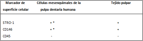 Tabla I Expresión de los marcadores STRO-1, CD146 y CD45 en las células mesenquimales de pulpa dentaria aisladas y el tejido pulpar de humano, por técnica inmunohistoquímica
