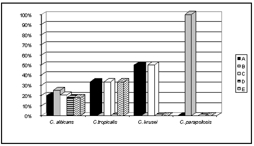 Figura 2 - Ocurrencia de especies de Candida en las categorías socioeconómicas.