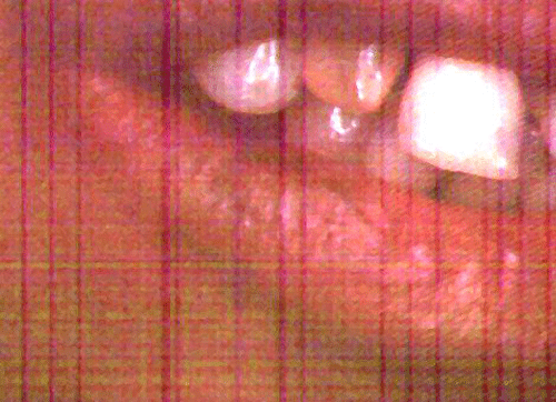 Foto nº 3