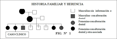 Fig. Nº 1